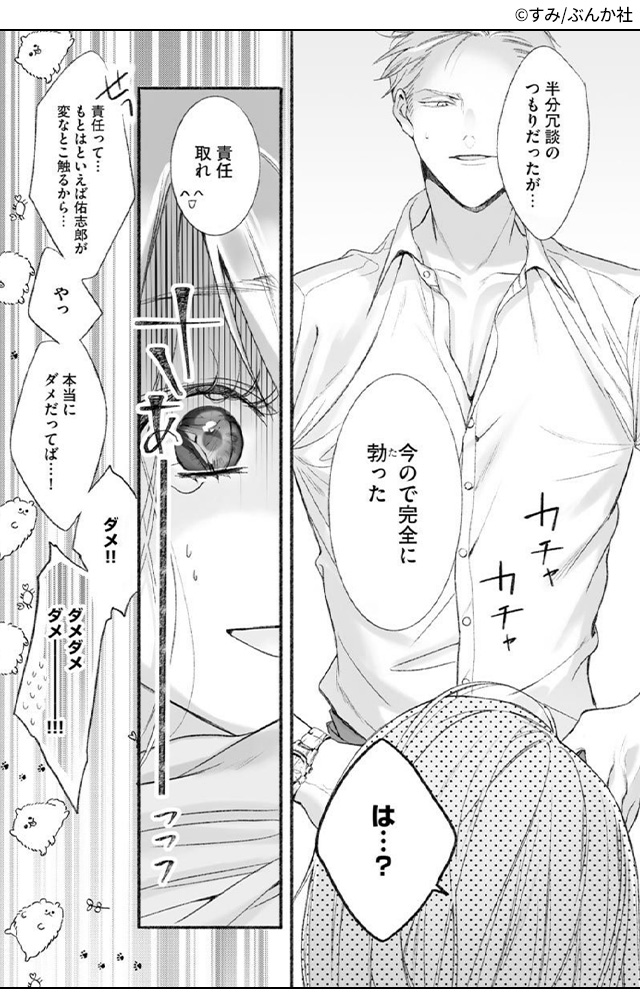 『 黒弁護士の痴情 世界でいちばん重い純愛(分冊版) 』紹介画像